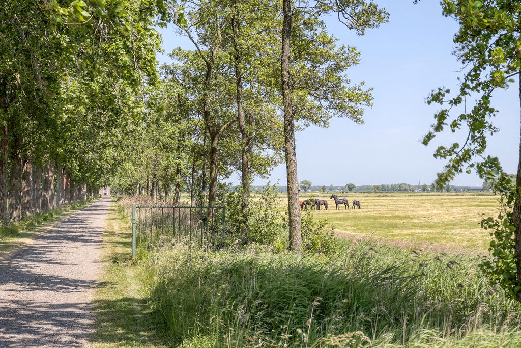 Tjerkgaast, Strjitwei 14