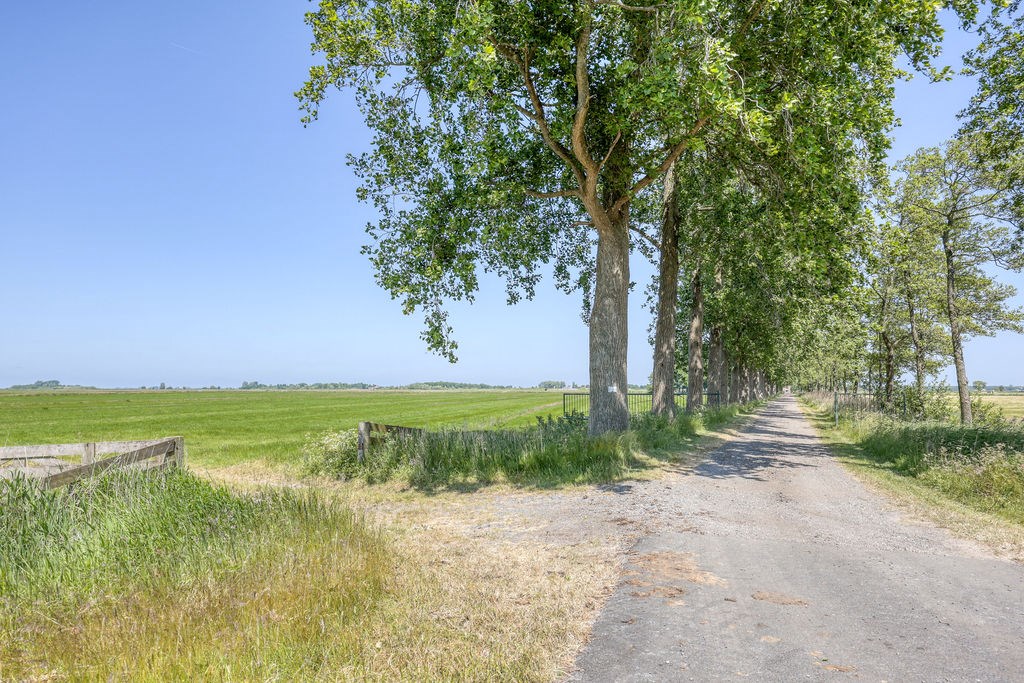 Tjerkgaast, Strjitwei 14