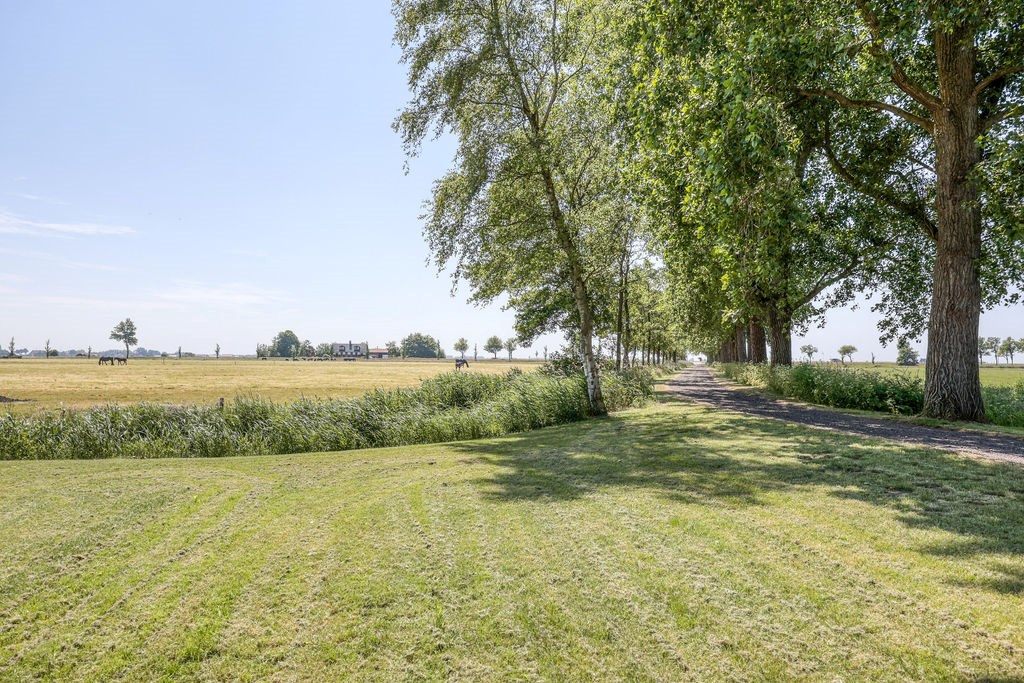 Tjerkgaast, Strjitwei 14