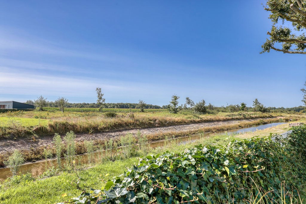 Balk, It Hoefizer 24