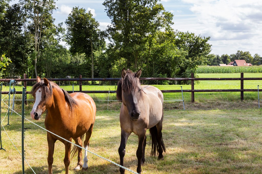 Wijckel, Jachtlustweg 25