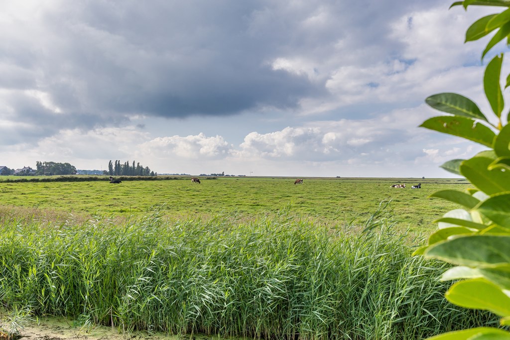 Molkwerum, Westerich 7