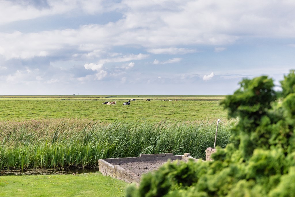 Molkwerum, Westerich 7