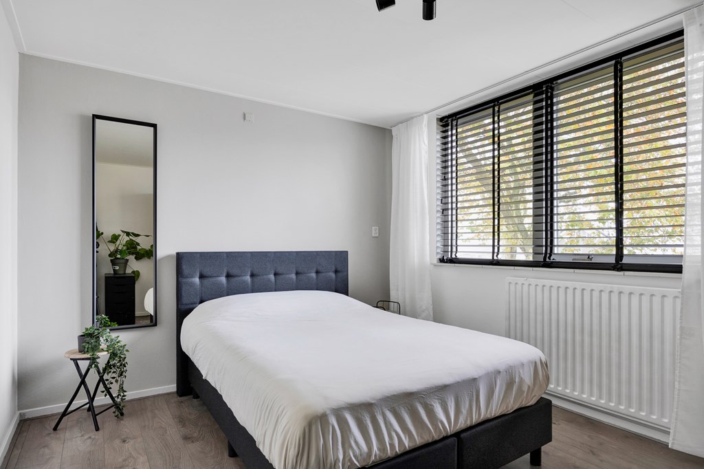 Balk, Jelle Meineszleane 52