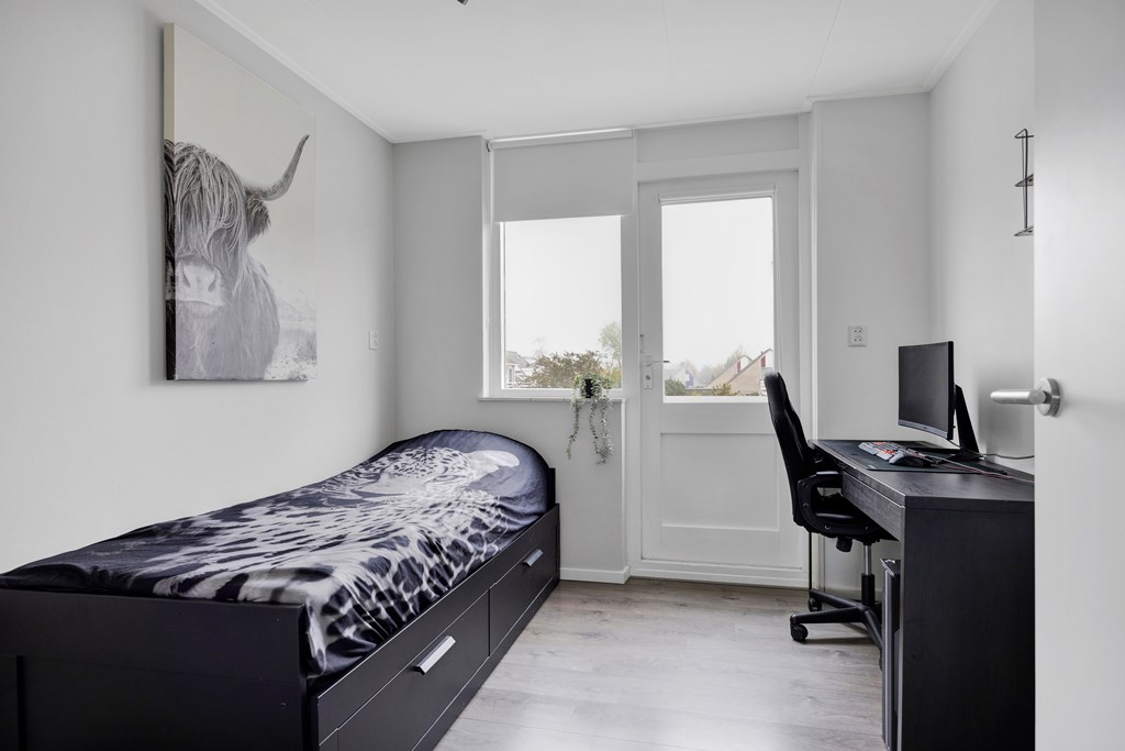 Balk, Jelle Meineszleane 52