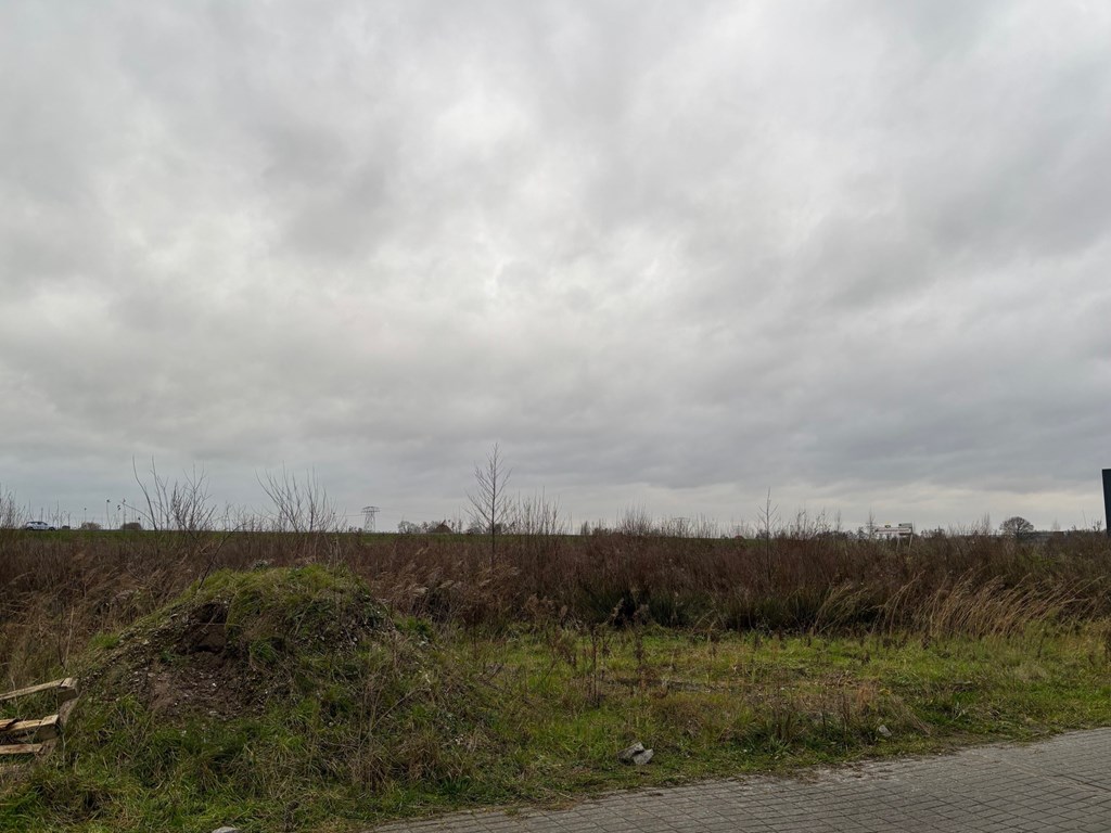 Lemmer, Roggemole 0-ong