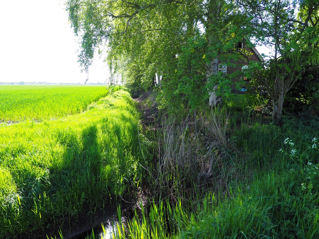 Oldeouwer, Jetze Veldstraweg 101