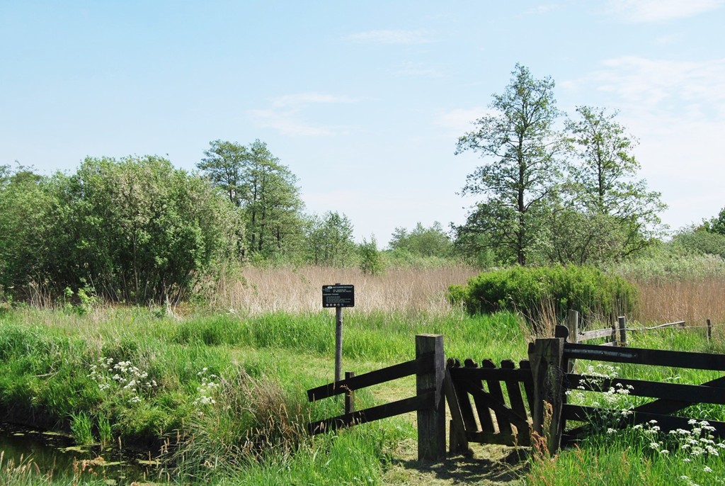 Sintjohannesga, Hoge Dijk 98