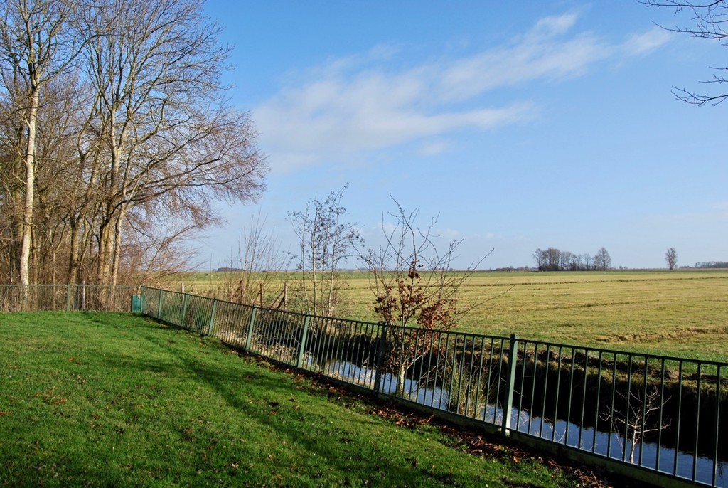 Elahuizen, Buorren 8