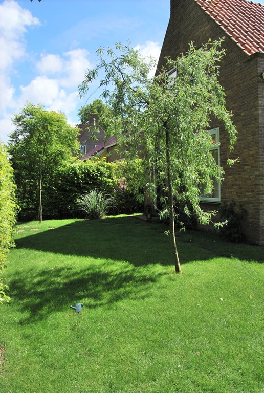 Hemelum, Yde B. Yntemastrjitte 2