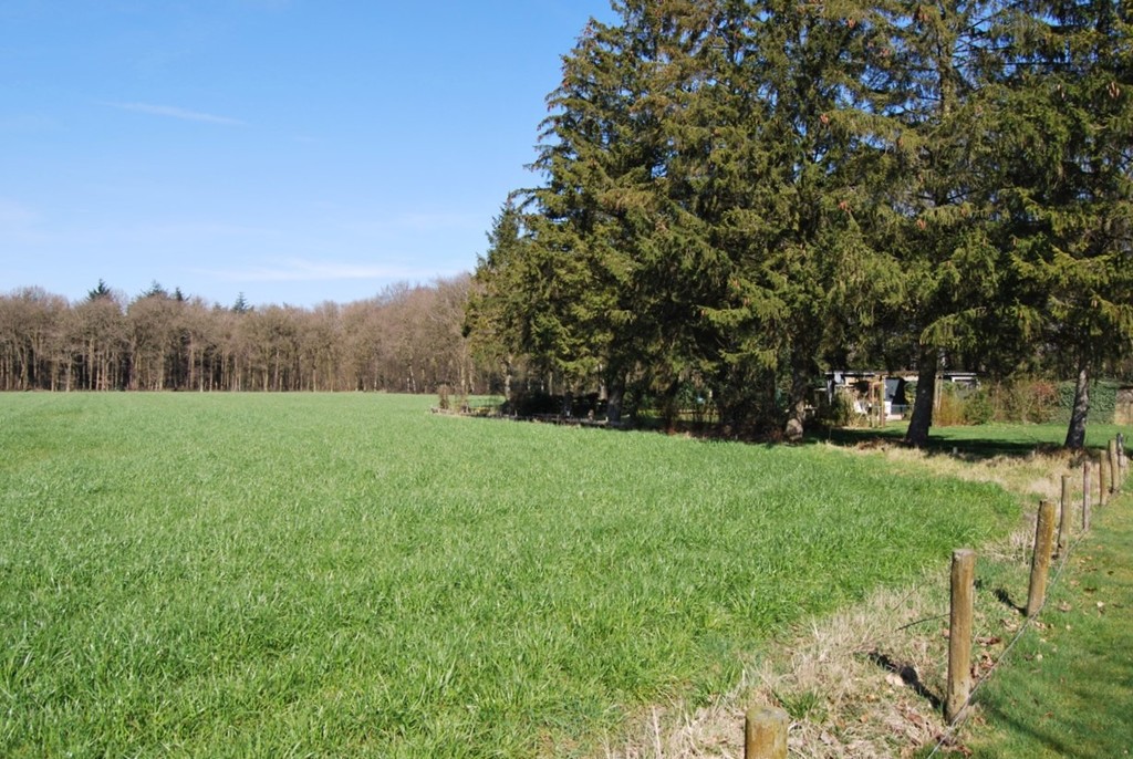 Oudemirdum, Beukenlaan 13