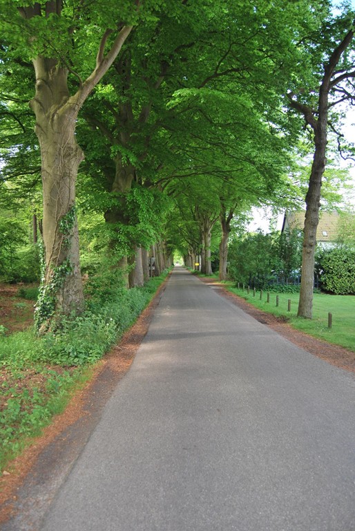 Oudemirdum, Beukenlaan 13