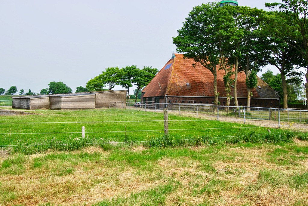 Tjerkgaast, Gaestdyk 2