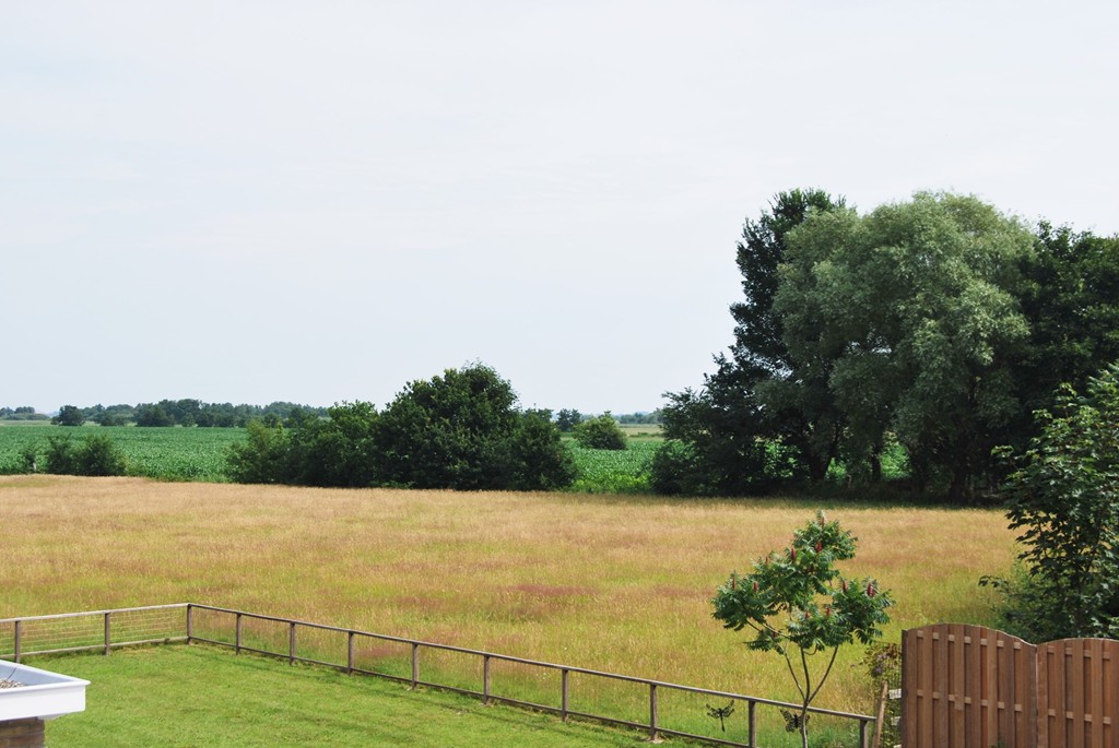 Wijckel, Lunenburgpaed 4