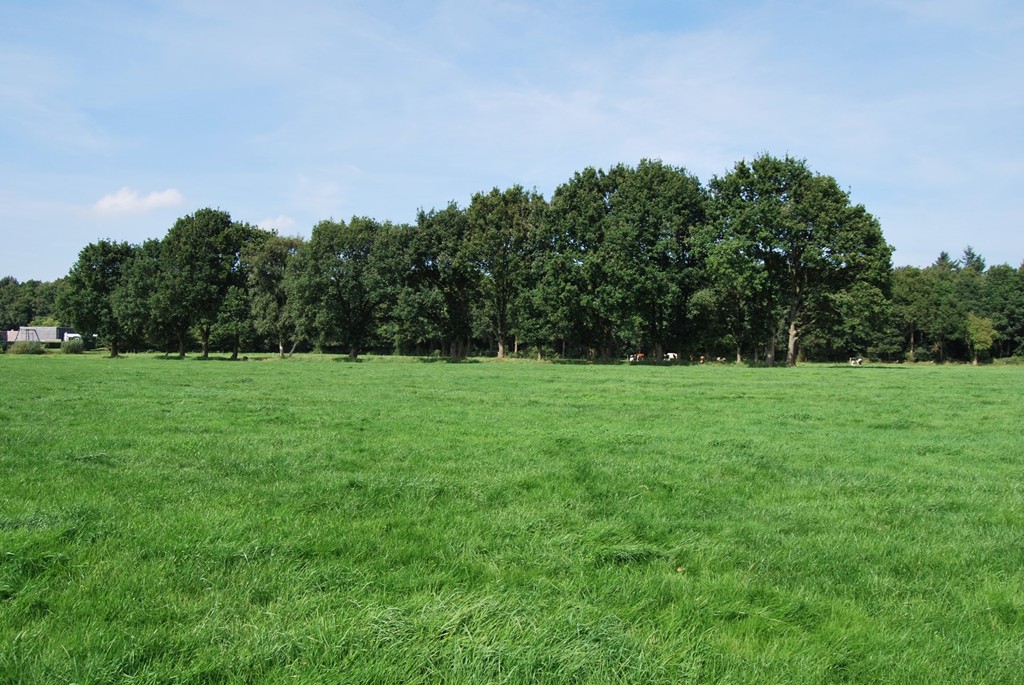 Sint Nicolaasga, It Blè