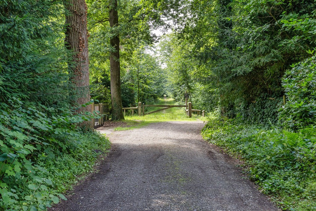 Rijs, Enkhuizerlaan 6-A