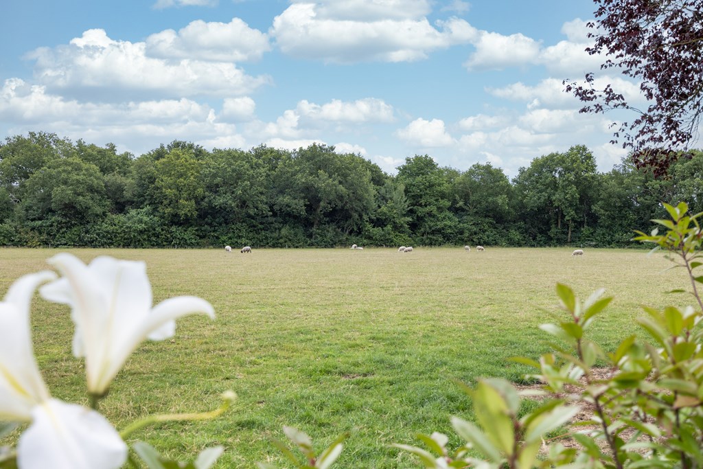 Oudemirdum, De Grintfisker 38