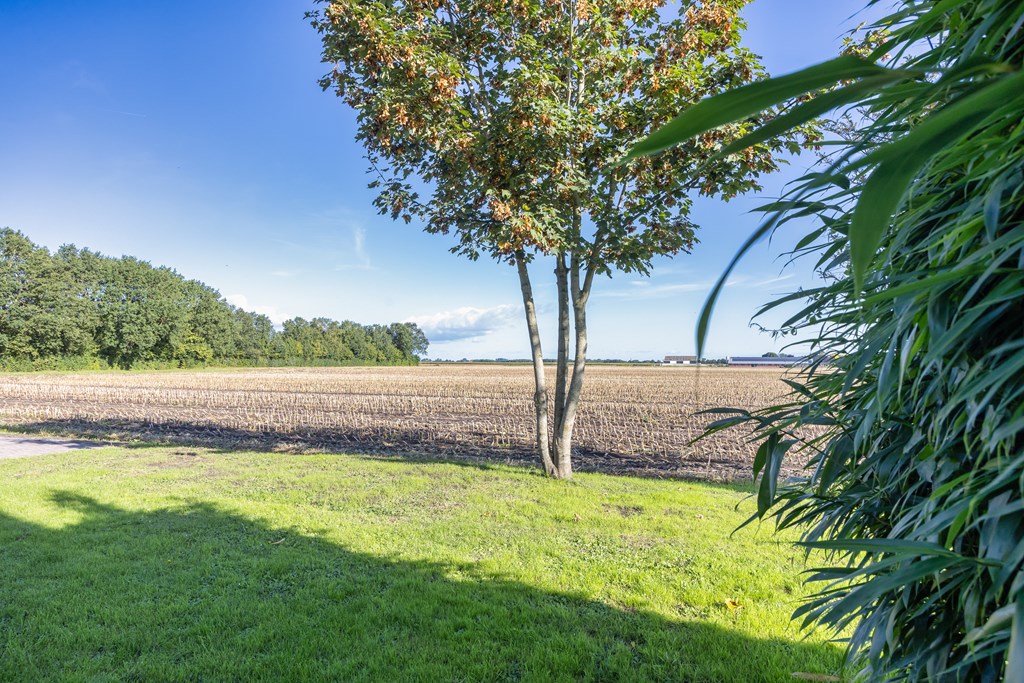Idskenhuizen, Stripedyk 37